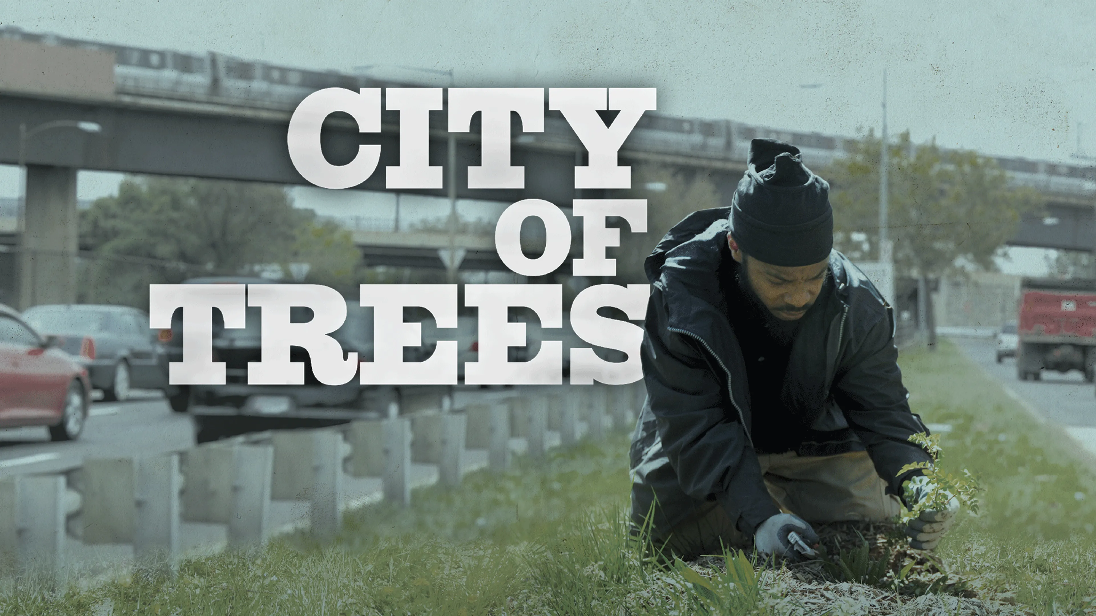 City of Trees poster